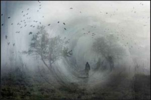 251_cikkkep_forgoszel